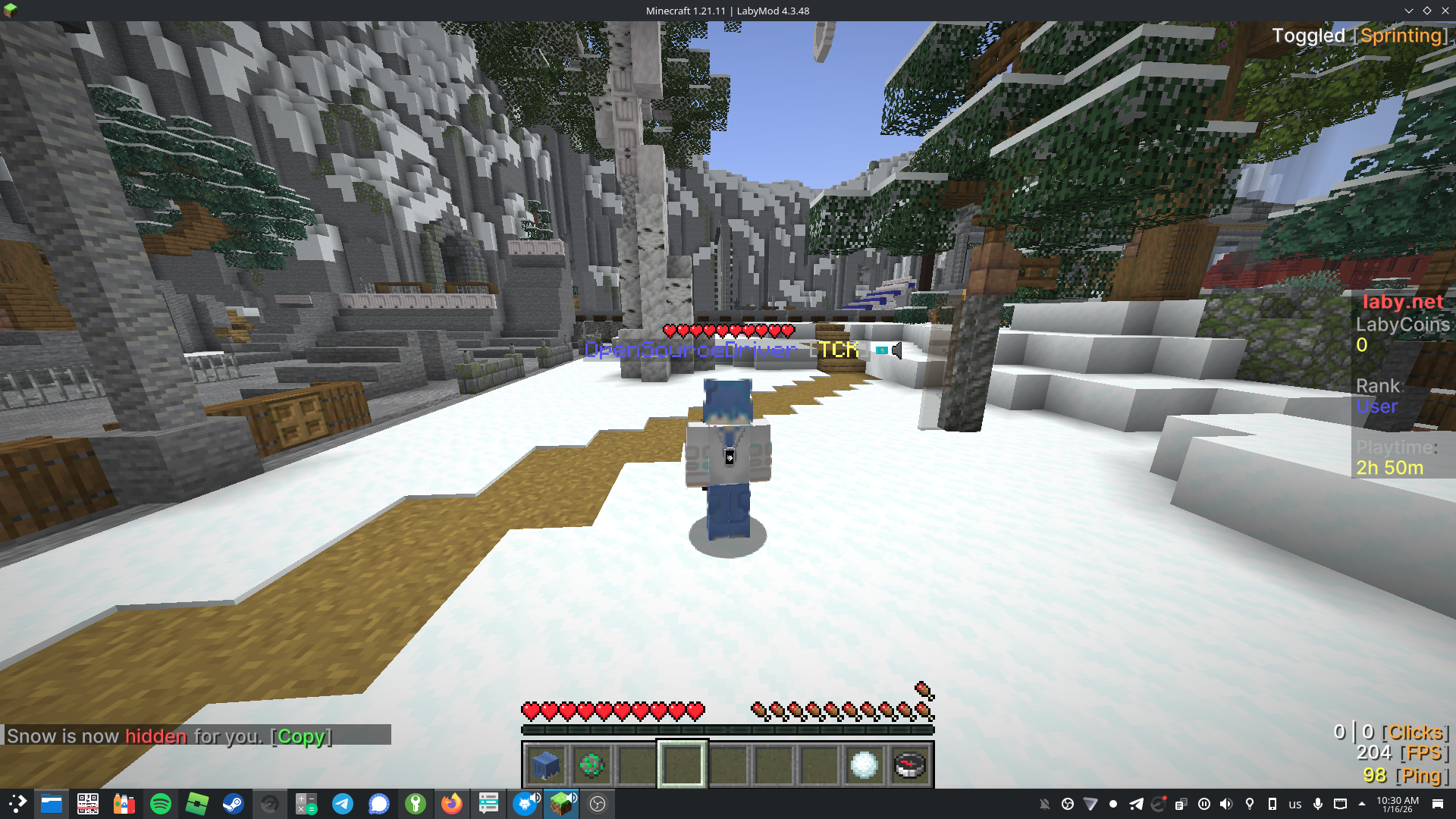 Screenshot of this bug